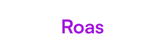 SetRoasFlow